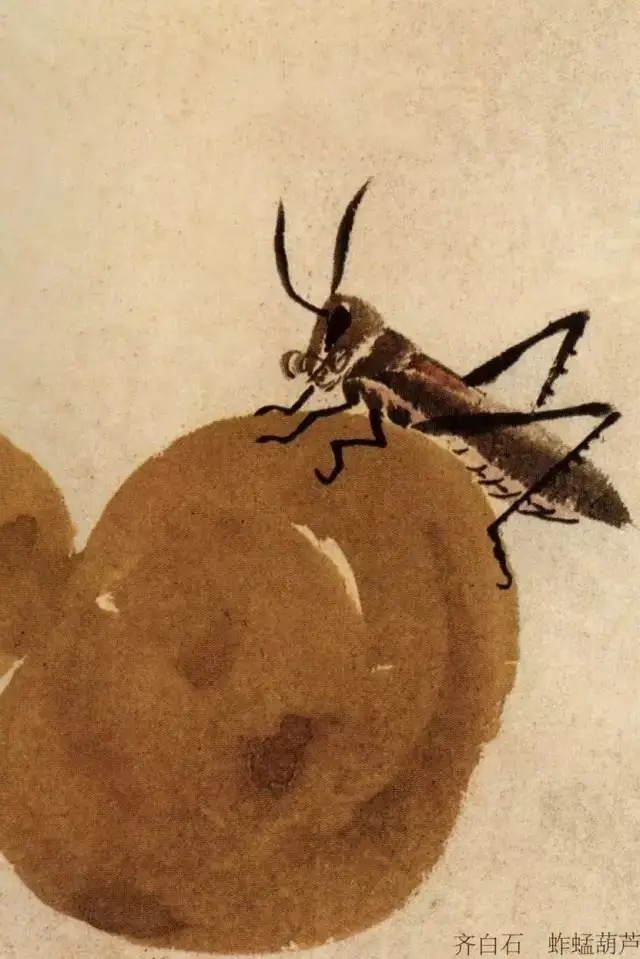 蝈蝈$国画技法图典——草虫篇:蝗虫 蚂蚱 蝈蝈 螽斯 螳螂 蟋蟀