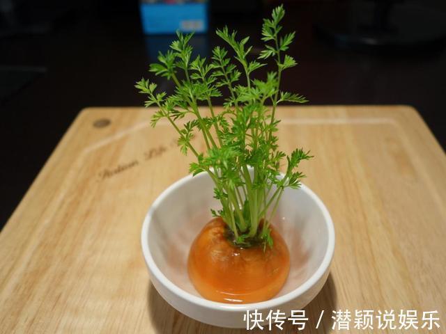 放水|6种蔬菜头留好了，放水里就长根，养成小盆栽真耐看，叶子味道好
