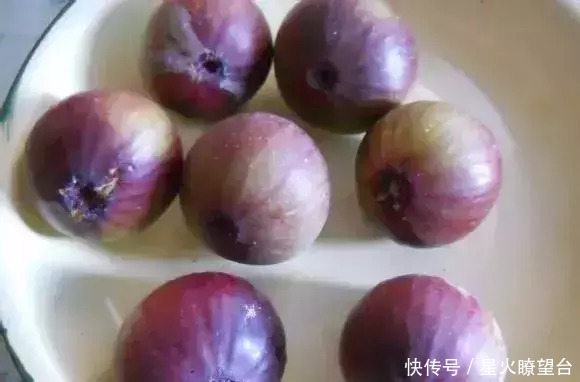 1根枝条插土里,10天生根,来年结果,一结一箩筐,吃不完!