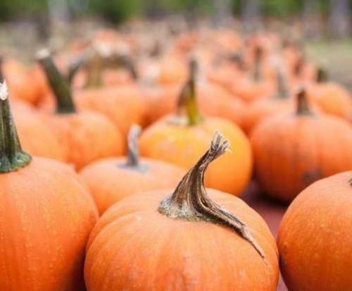 型糖尿病|糖尿病的“死对头”,“天然胰岛素”,每天来几口,血糖不上升