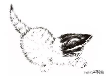 花青#猫的基本画法与步骤