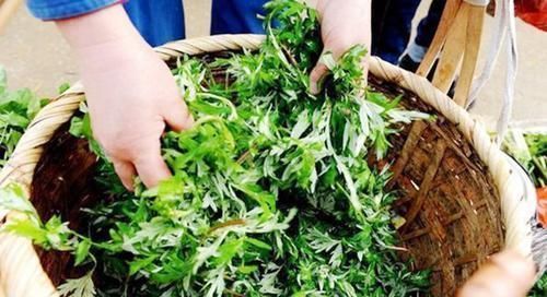 特别|大妈路边卖“杂草”,5元1斤没人要,识货的人直接连筐子都买了