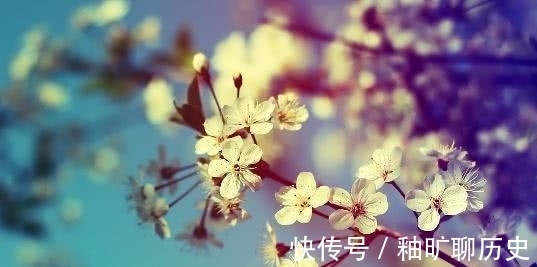 春泪|秦观最经典的一首诗,有情芍药含春泪,无力蔷薇卧晓枝!