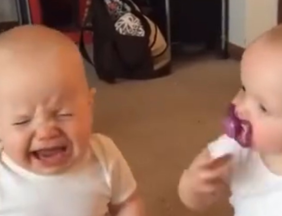 双胞胎宝宝“互抢”奶嘴萌翻众人,网友:亲情的火苗真是说灭就灭