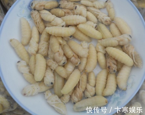 预防|聪明人都爱吃3种食物，改善心脑血管，预防衰老，身体更健康