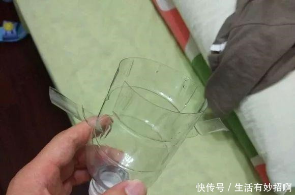 冬天能“扦插”花卉吗答案是肯定的,1个塑料瓶就行,25天生根!