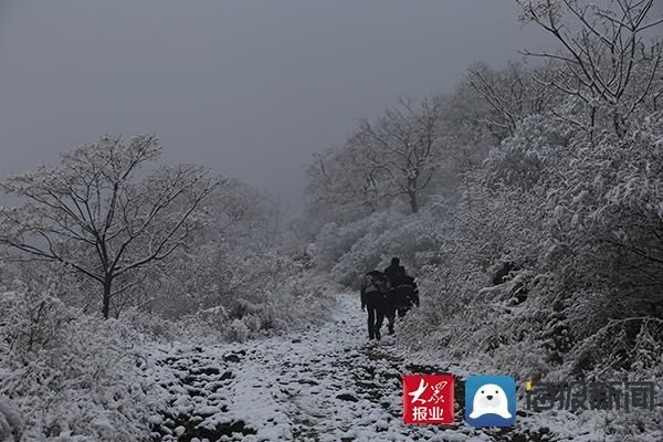 入冬|@邹平市民：入冬以来第一场雪请您查收