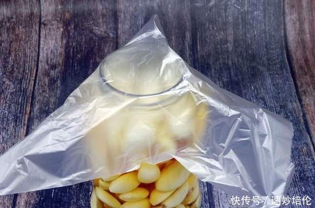 腊八节腌腊八蒜,别着急加醋,教你一招,大蒜绿得快,5天就能吃