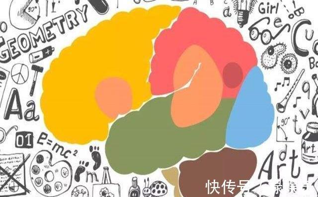 老教授|“我劝年轻人要多开发右脑”,老教授的话,揭开了大脑发育的真相