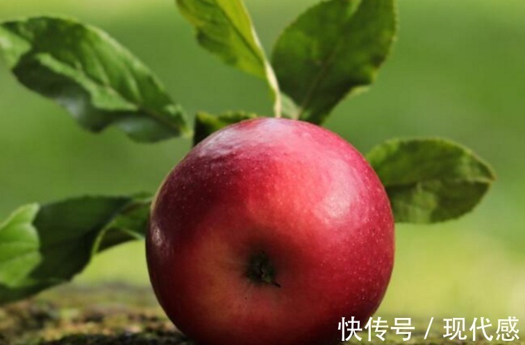 禁忌|提个醒吃苹果有三大禁忌,却有很多人不清楚,别犯错误了