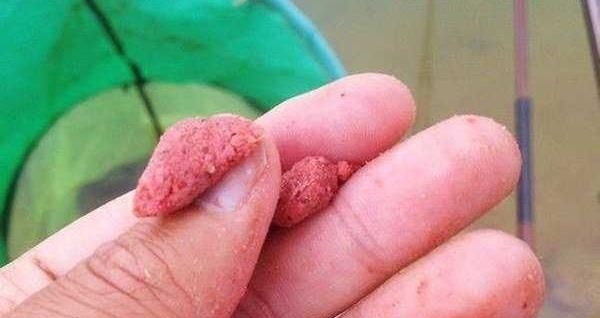 调漂技巧带饵调漂的操作要领和公式，按照公式调漂，肯定错不了