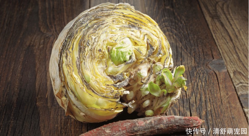 肝胆科|男人这2处疼痛,别再认为是累的了,或是癌细胞苏醒的预兆,尽早检查