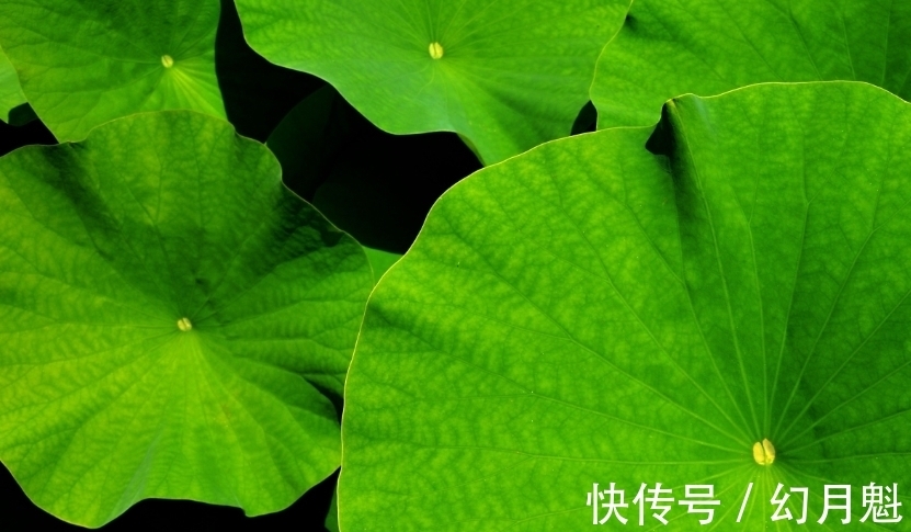 射手|天蝎座最终会落在谁手上?