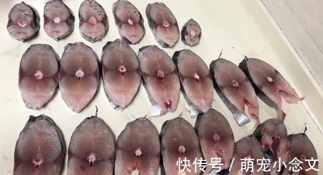 夏天遇到这鱼，我从不还价，目前无法人工养殖，酱油腌一腌特好吃