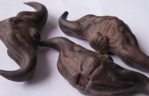 血糖偏高的人，這4種蔬菜“白送”也別吃，這項運動也許能幫你