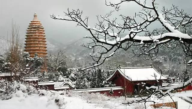 迎来|嵩山迎来冬日里的雪