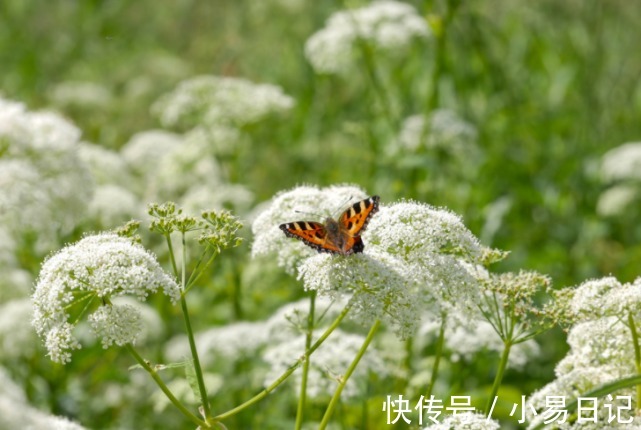 运势|今年冬季，运势不降温，喜上眉梢，聚财聚福，没啥困难的3生肖