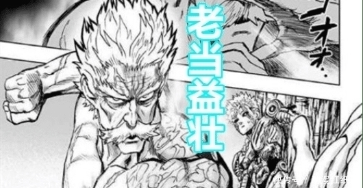吹雪|一拳超人:作者泄露强者第一定律!只有这五人被埼玉认同!