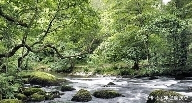 寺院|韦应物闲居赋诗,一首绝句充满闲情逸致,更是百读不厌