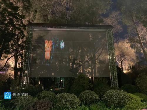 森林、瀑布、海浪……昆明大观公园“夜大观”升级亮相