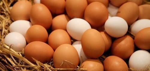 营养师|买鸡蛋时,买红壳好还是白壳好当营养师讲完后,许多人都后悔了
