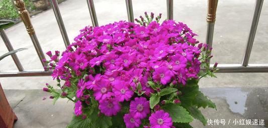 智商|出生在几点钟的孩子,智商最高,将来一定大有出息,前途光明