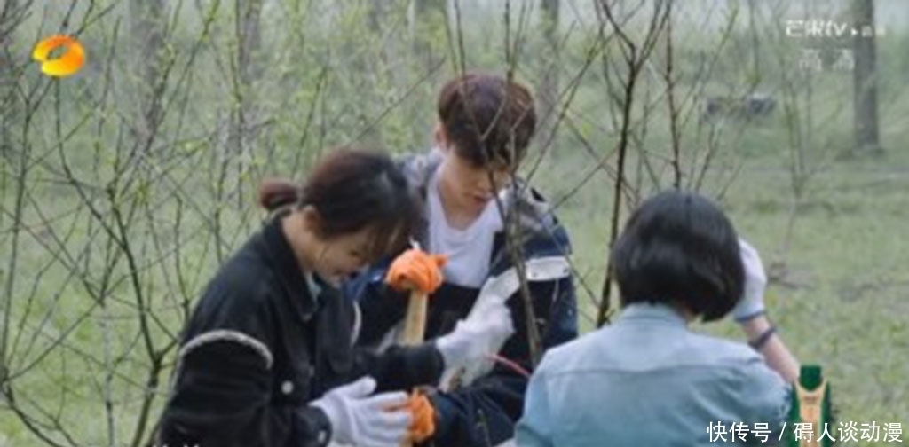 何老师 《向往的生活》张艺兴不仅喊杨紫绯闻女友,还叫姐姐!黄磊在线催婚!