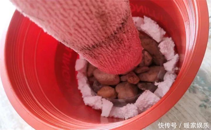 花友|绿萝裹个旧毛巾,俩月能爬1米高,一片叶子脸盆大!