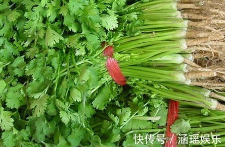 烟酸|香菜有什么营养价值它的五大营养价值要比一般蔬菜强，了解一下