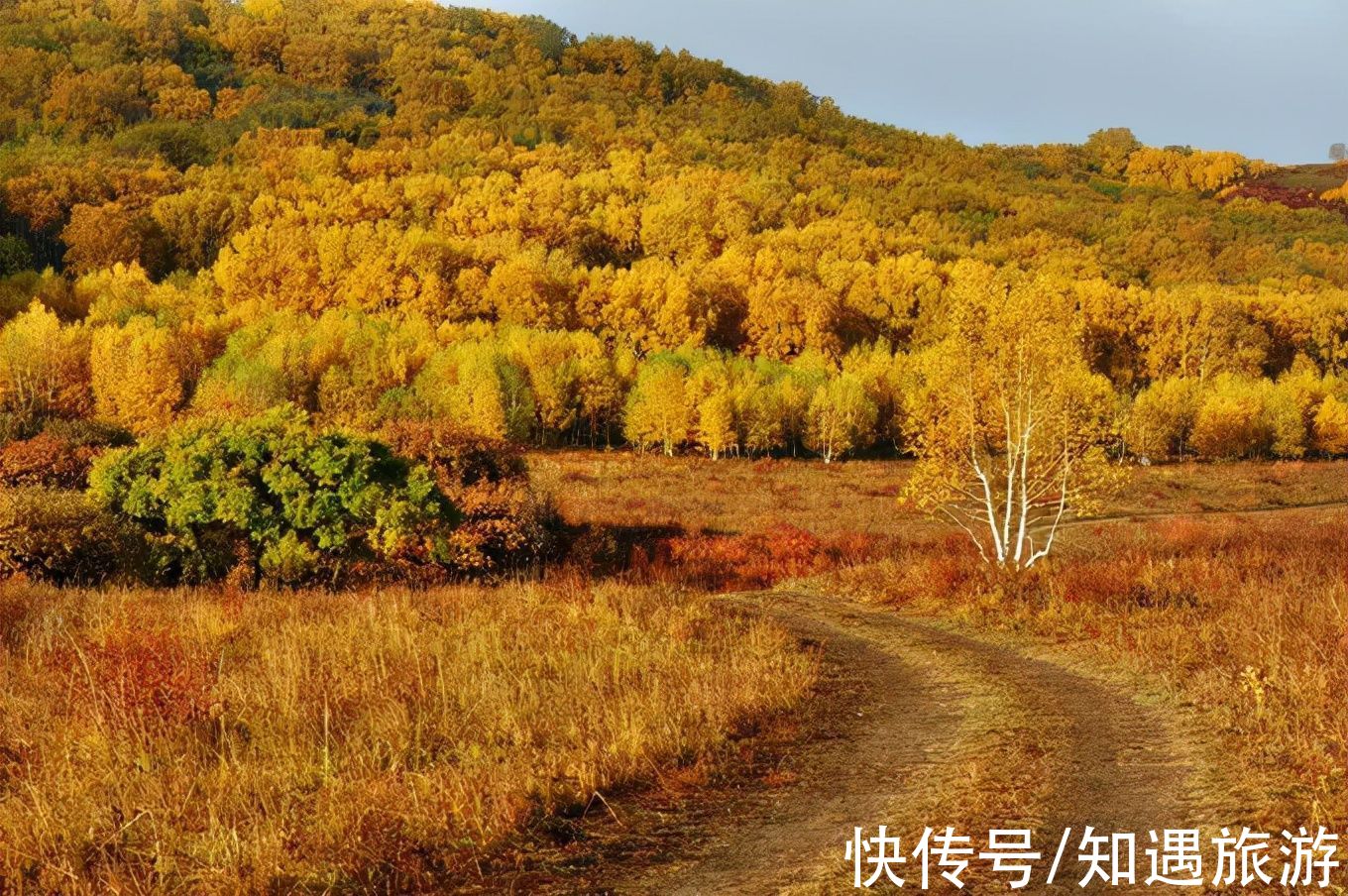 红叶|10月，国内这9个地方藏着最美的秋色，千万不能错过