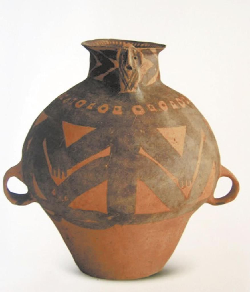  曙光|贝饰：来自远古的第一缕审美曙光