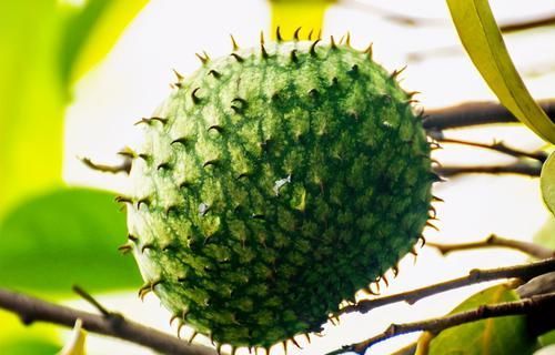 冬季了，多吃三種食物，排毒養顏，調理腸胃，好處多多