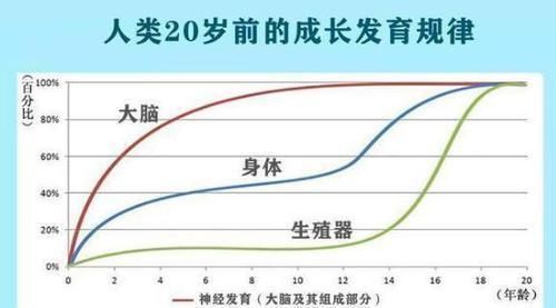 变聪明|哈佛研究发现：孩子一生中有3次机会“变聪明”，家长别轻易错过