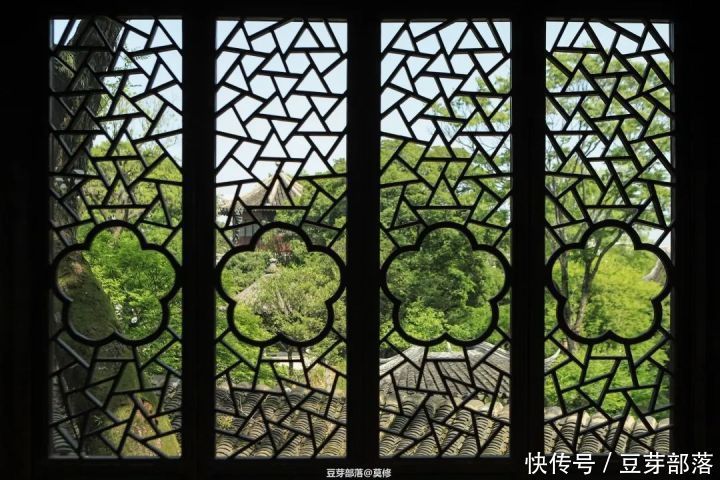 500余年苏州拙政园，绿树阴浓夏日长|旅行plog | 园林