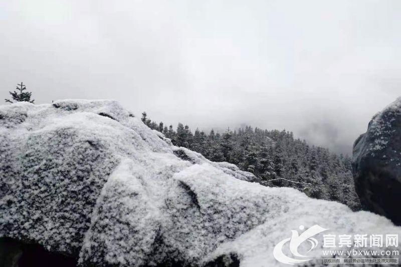 不胜|银装素裹美不胜哉 兴文苗乡迎来今冬首场大雪