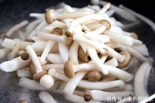 此菇是食用菌的“金枝玉叶”，经常吃一点，止咳化痰、减脂排毒