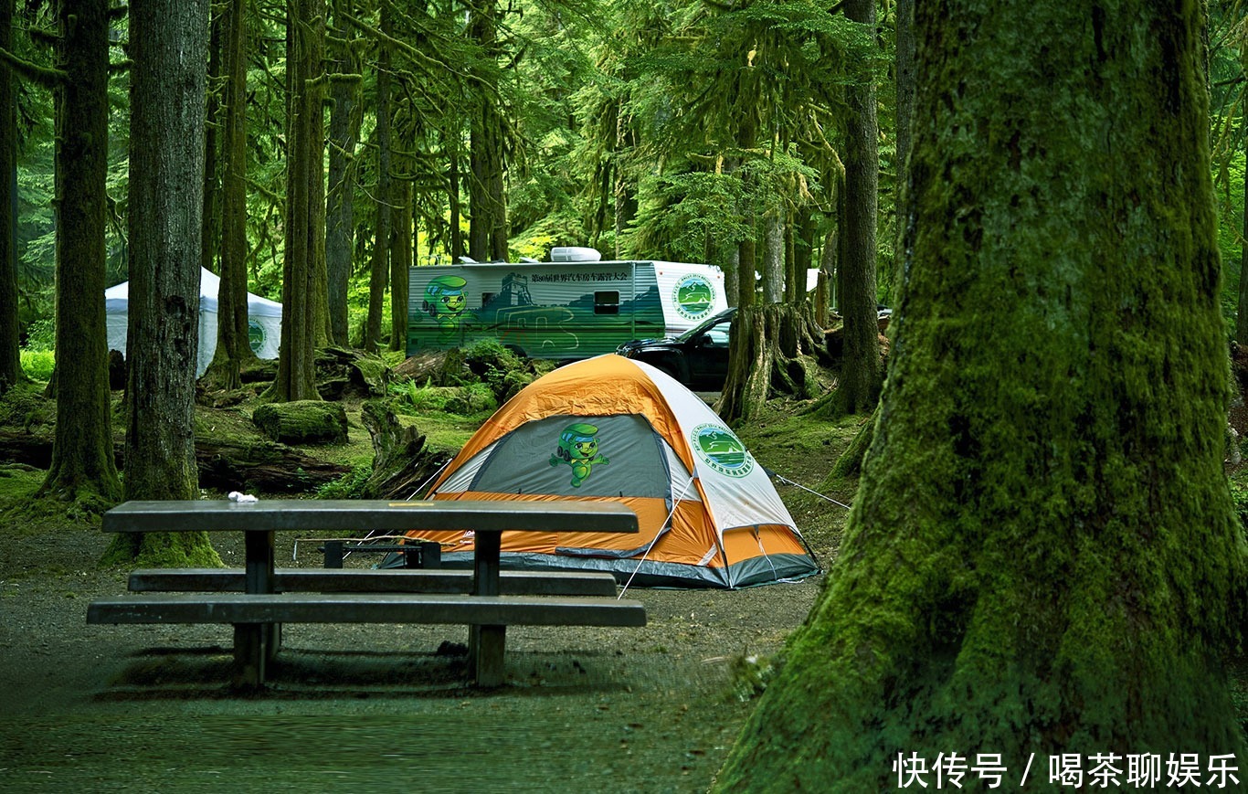 夏季|夏季在野外露营如何防止蚊虫叮咬？
