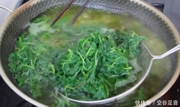 保存艾叶有诀窍,教你2招,放一年都不烂不变黑,像刚摘的一样新