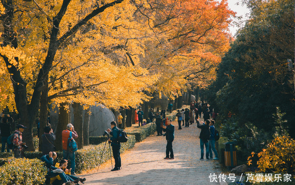 五彩|南京最美步道原来在这里，五彩斑斓的童话世界，去一次终身难忘