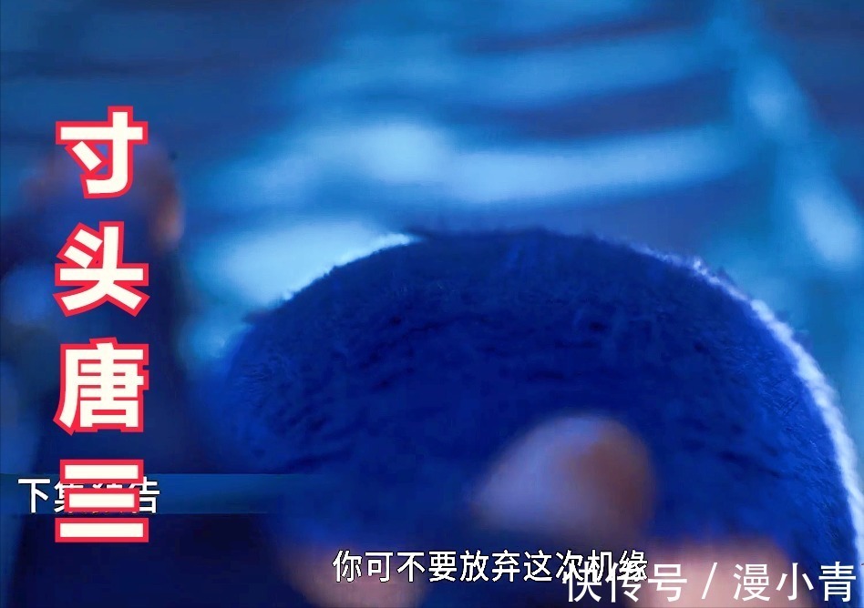 蓝银草|斗罗大陆173:唐三喜获十万年魂环,只不过光头变成了寸头