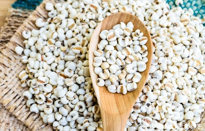 燕麦|湿气一除,大病皆无,学会这几招,赶走湿毒,立竿见影