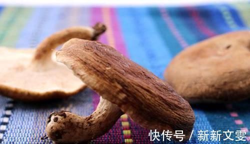 香菇|女人长乳腺结节的原因被发现了,记住两吃,两不吃,结节悄悄没了