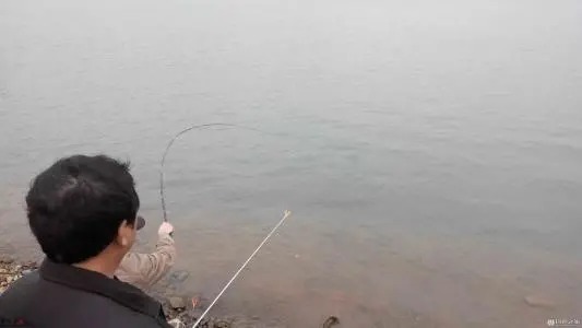 钓鱼人身上的怪事情，有些真的挺离谱的，你遇到过几个？