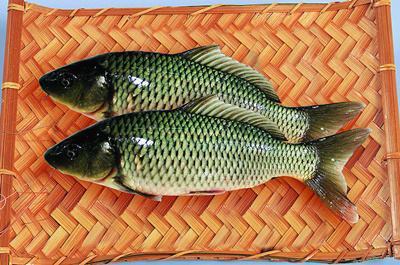 秀发|养护一头秀发,除了黑芝麻,这些东西也得吃