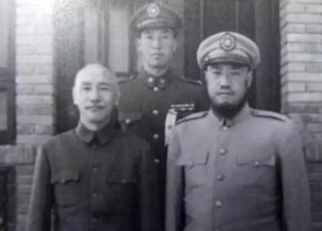 热水墓群|“九层妖塔”原型古墓惊现:1000余件文物,500余件金银玉器,87匹汗血宝马