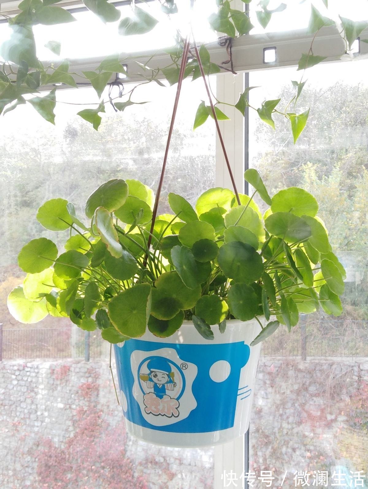 4个擦玻璃的小妙招,只要记住一个,玻璃就能光亮如新