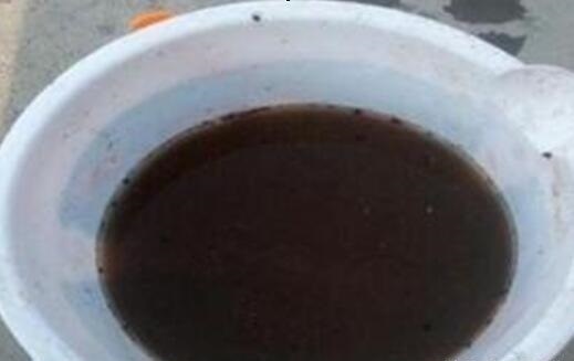 秋季|他养蟹爪兰，浇灌2种“肥水”，嗖嗖冒出“钢锯叶”，满盆开花