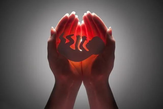 半月|怀孕3个半月,B超发现是女孩被迫流产,你可曾想过胎儿会不会疼