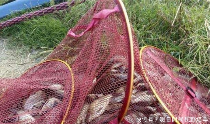 钓鱼,窝中有鱼不吃钩怎么办?