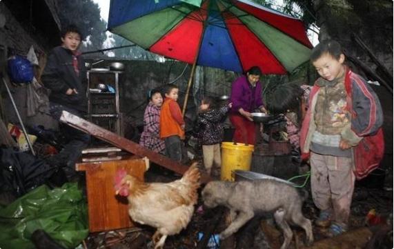 家庭|夫妻俩15年生11个孩子,指望一个孩子有出息,如今却被现实打脸